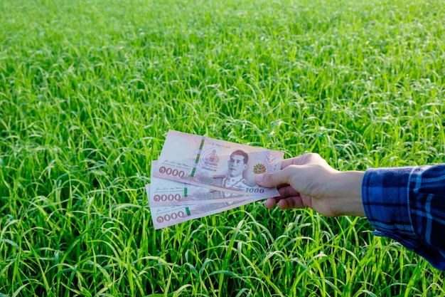 Een hand met geld in het gras buiten