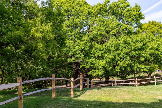 Een hek in het bos is gemaakt van hout en heeft een hek dat zegt "niet meer".