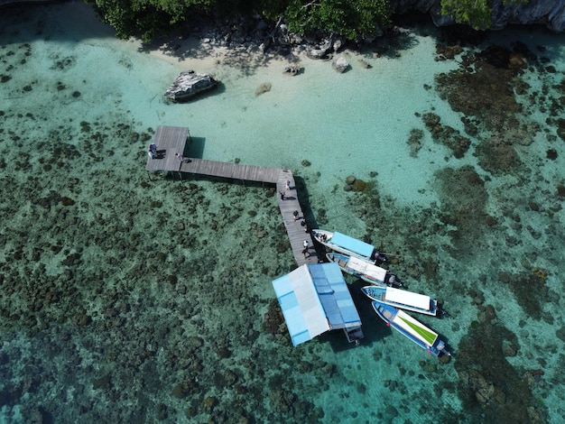 Foto een heldere blauwe oceaan met een koraalrif en een zandstrand in sawai saleman maluku indonesië