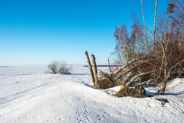 Een heldere winterdag aan de Wolga