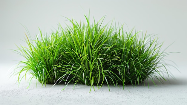 Een hoge resolutie afbeelding van vers groen gras tegen een doorzichtige achtergrond