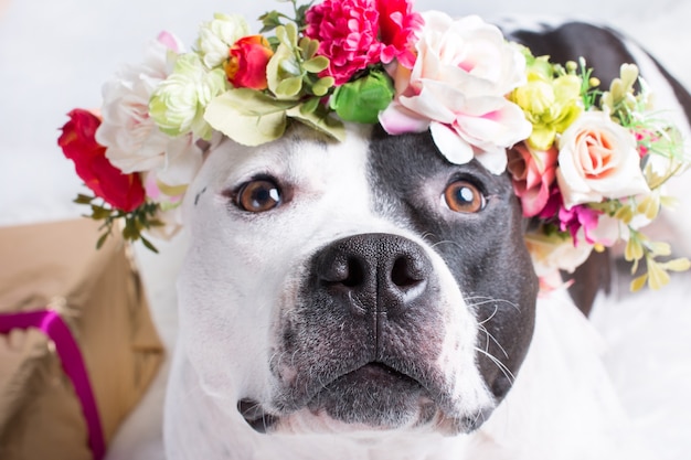 een hond in een bloemenkrans