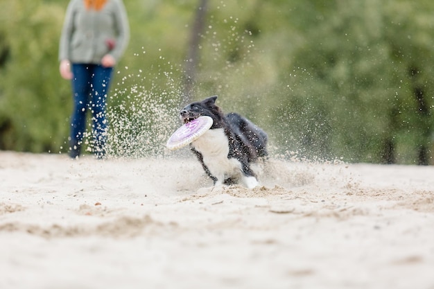Een hond met een frisbee in zijn bek rent door het zand.