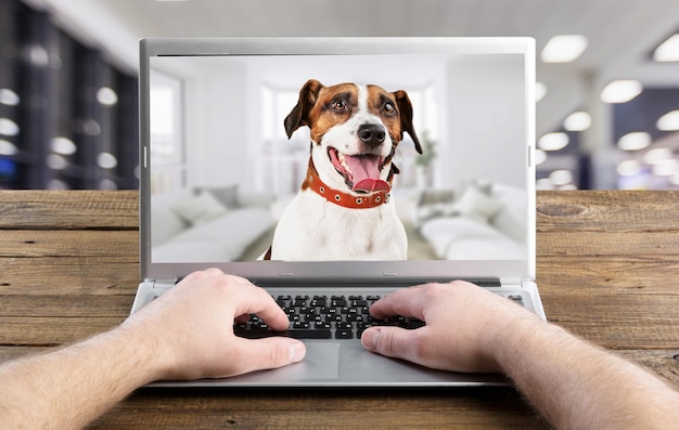 Een hond op een scherm van een laptopcomputer op het bureau