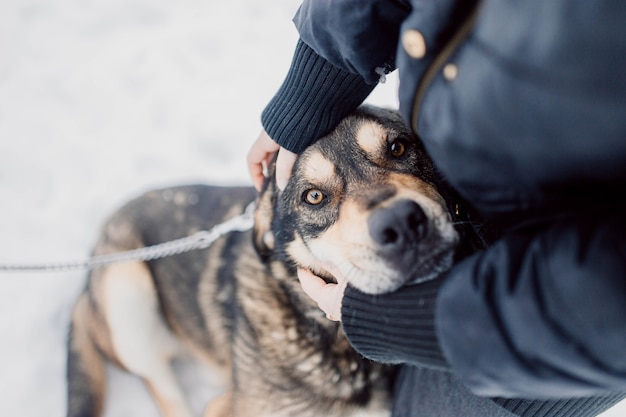 een hond trainen om aan de lijn te lopen in de winter