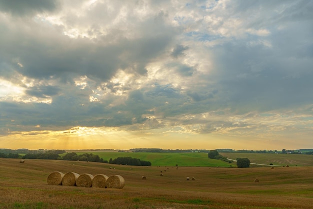 Een hooiberg in een veld tegen de achtergrond van prachtige wolken na de regen Het oogsten van graan gewassen het oogsten van stro voor veevoer Het einde van het oogstseizoen Ronde balen hooi