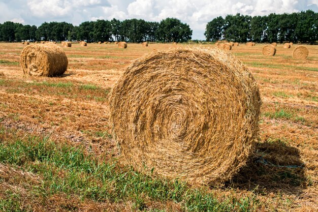 Een hooiberg in het veld na de oogst