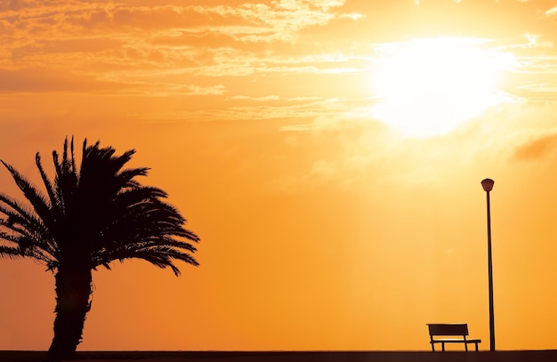 Een houten bankstraatlantaarn en een palm met een achtergrondmening van een rode zonsondergang en een felle zon