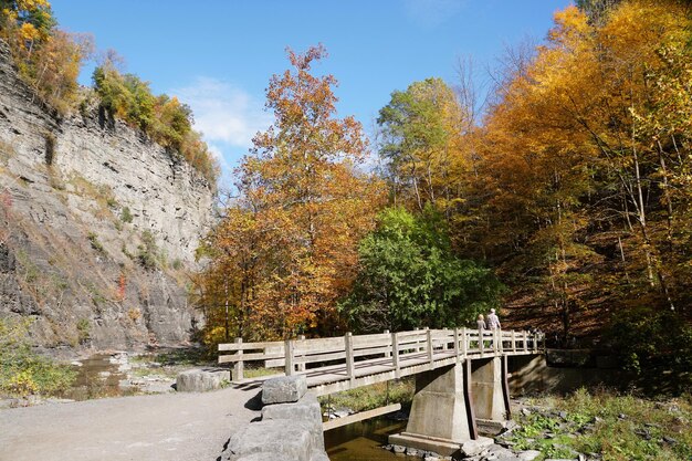 Een houten brug bij Taughannock Falls State Park Upstate New York VS