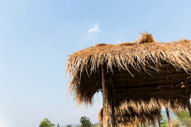 Een houten hut met een dak van rietgras.