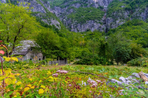 Een houten hut onder de waterval van Grunas in het Theth National Park Albanië Albanese Alpen