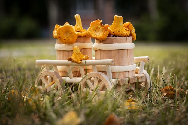 Een houten kar met verse champignons