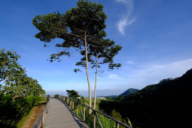 Een houten loopbrug met een boom erop houten brug in berggebied