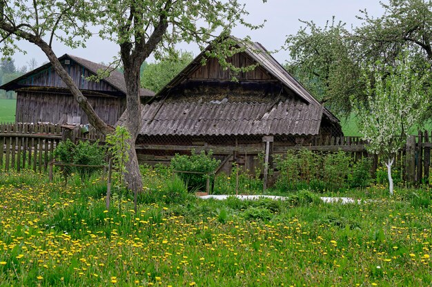 Een houten oude boerderij en schuur in een arm dorp is onbewoonbaar