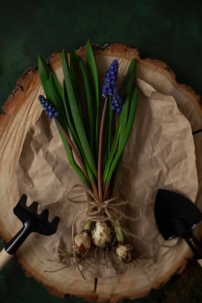 Een houten stuk papier met een bosje Muscari erop