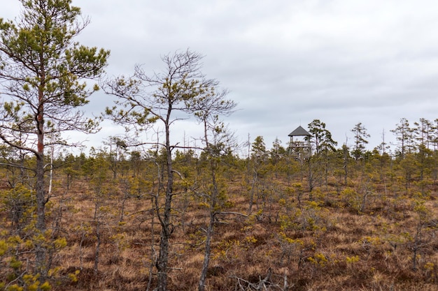 Een huis in een veld met bomen en een bewolkte lucht