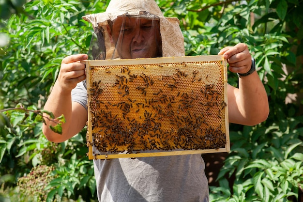 Een imker inspecteert frames met verzegelde honingraten met honing op een zonnige dag Werk in de bijenstal in de zomer