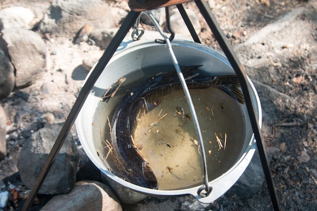 Foto een in een pot gevangen luik die de gevangen vis kookt