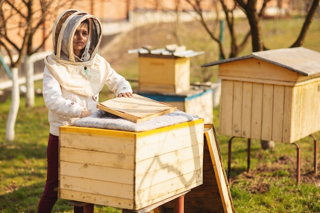 Een jong imkermeisje werkt met bijen en inspecteert bijenkorf na de winter
