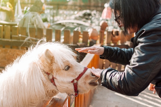 Een jong meisje aait een pony in de dierentuin door een houten hek. Het zoogdier is op de familieboerderij.