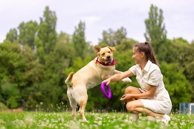 Een jong meisje speelt met een speelgoedring met een labradorhond op het gras