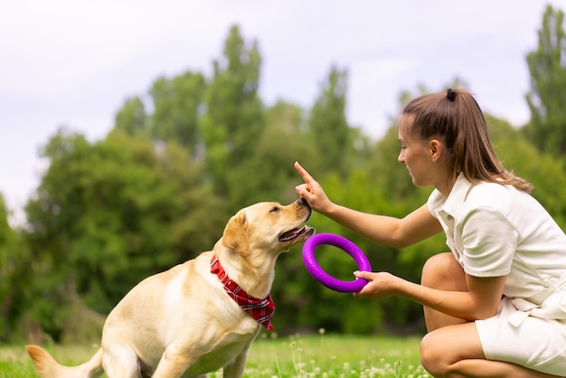 Een jong meisje speelt met een speelgoedring met een labradorhond op het gras