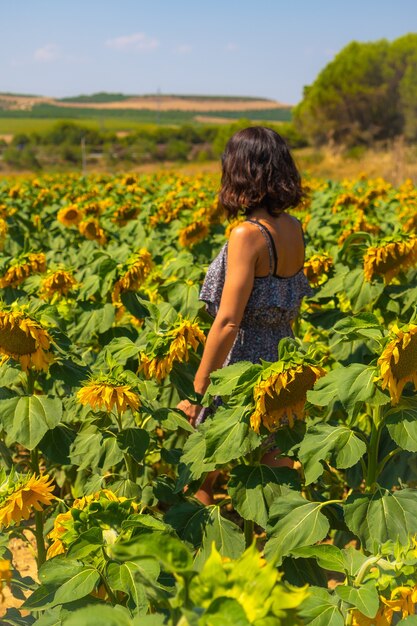 Een jonge blanke brunette geniet van enkele prachtige zonnebloemen