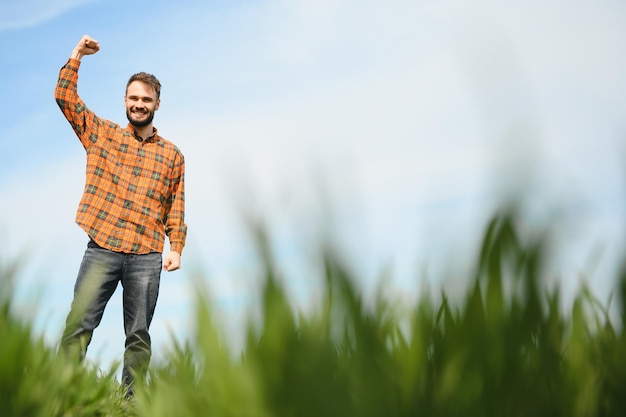 Een jonge boer inspecteert de kwaliteit van tarwekiemen in het veld Het concept van landbouw