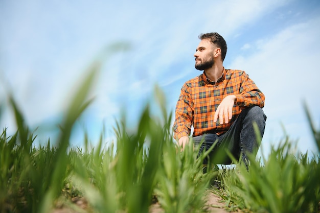 Een jonge boer inspecteert de kwaliteit van tarwespruiten in het veld. Het concept van de landbouw