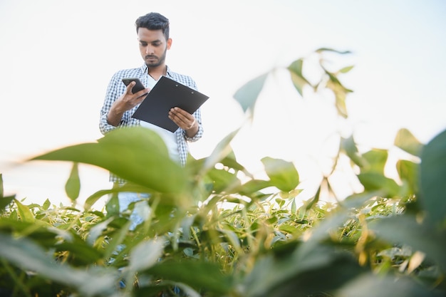 Een jonge knappe Indiase agronoom werkt op een sojabonenveld en bestudeert het gewas