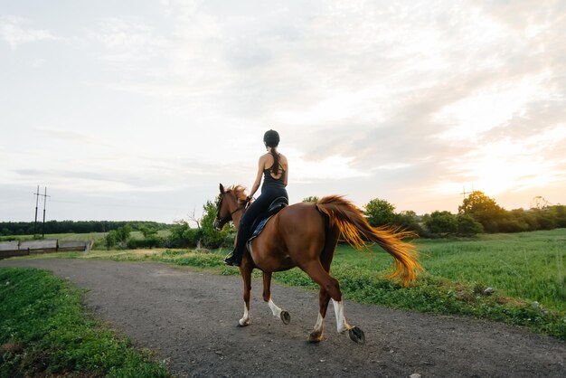 Een jonge mooie meisjesjockey die een volbloedhengst berijdt houdt zich bezig met paardrijden bij zonsondergang. Paardensport., paardrijden.