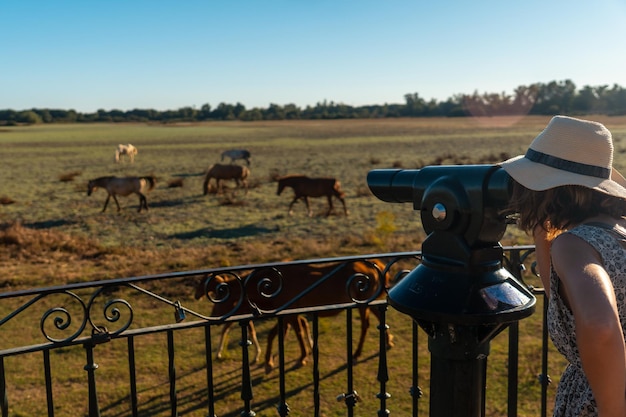 Een jonge toerist die met een verrekijker naar de paarden kijkt die grazen in het donana-park santuario del rocio