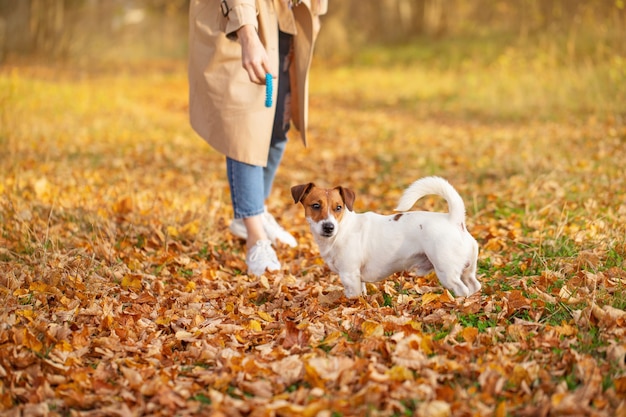 een jonge vrouw in een regenjas loopt in het park met haar hond op een herfstdag