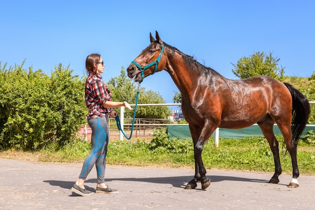 Een jonge vrouw praat met een paard