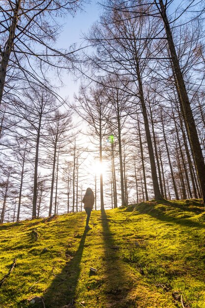 Een jonge wandelaar die bij zonsopgang in het Oianleku-bos wandelt in de stad Oiartzun