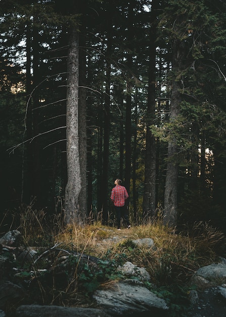 Een jongen die door het bos loopt