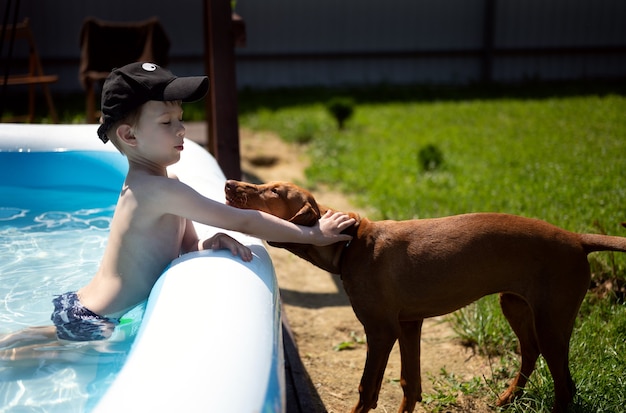 Een jongen in het zwembad aait een hond die naar hem toe kwam de puppy van de hongaarse vyzhla