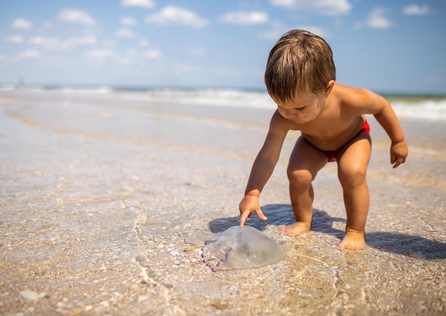 Een jongen onderzoekt een gestrande kwal onder de felle zomerzon