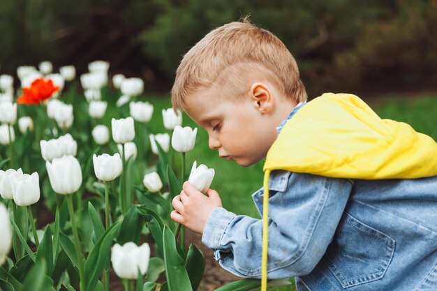 Een jongen ruikt een tulpenbloem in het park op een lentebloembed met tulpen