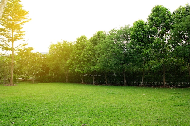 Een jongen voetbalt in een veld met bomen op de achtergrond