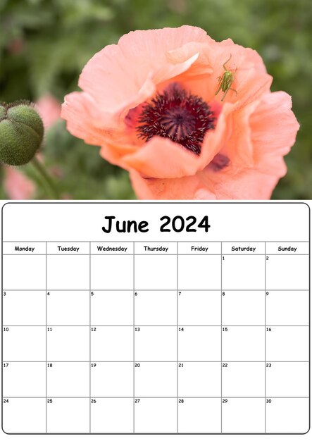 Foto een kalender voor juni 2024 met papaverbloesem