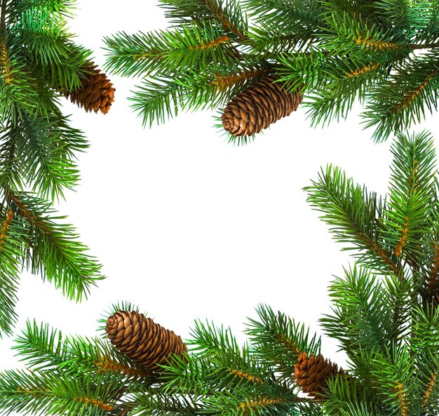 een kerstboom met een frame dat pine kegels erop zegt