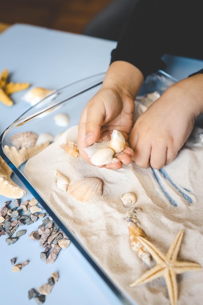 Een kind bestudeert zand en schelpen een idee voor een activiteit met een kind