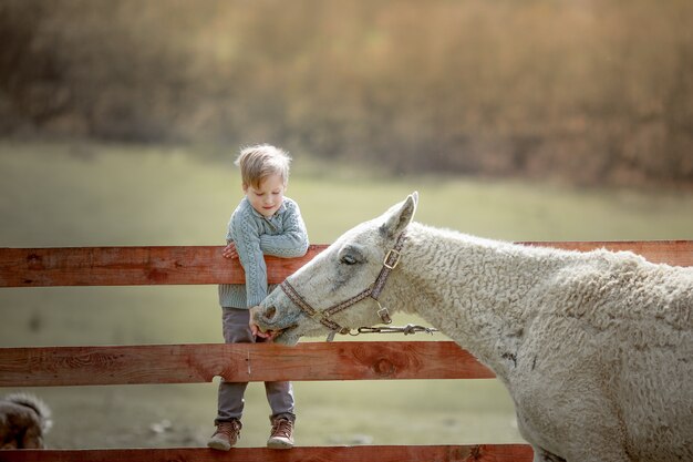 Een kind een schoolgaande jongen op een boerderij zit op een houten hek en voedt een pony