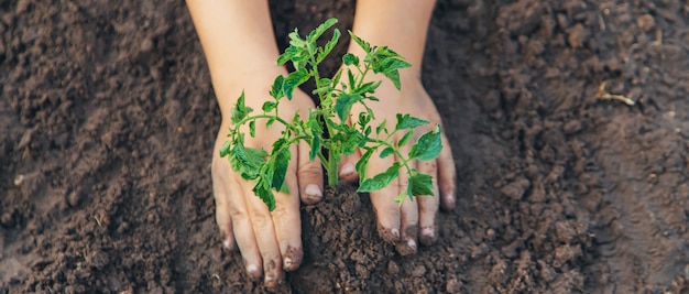 Een kind in de tuin plant een plant