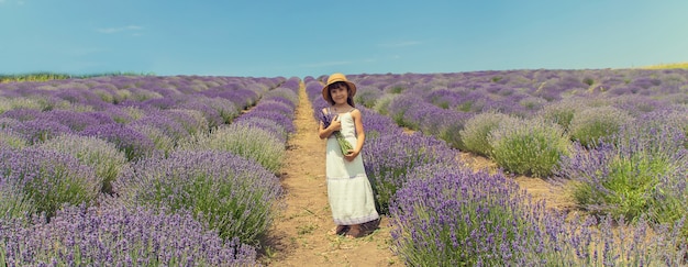 Een kind in een bloeiend gebied van lavendel.