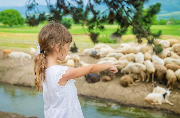 Een kind kijkt naar een kudde schapen. reizen in georgië.