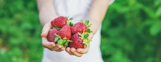 Een kind met aardbeien in de handen