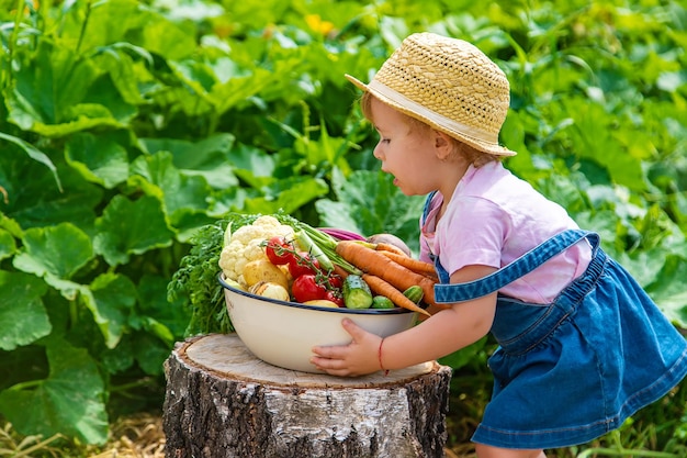 Een kind met een oogst van groenten in de tuin Selectieve aandacht