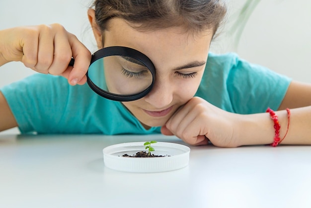 Een kind onderzoekt een plant onder een vergrootglas Selectieve focus